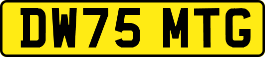 DW75MTG