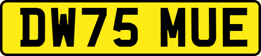 DW75MUE