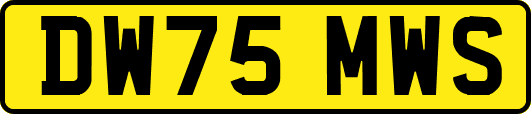 DW75MWS