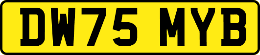 DW75MYB