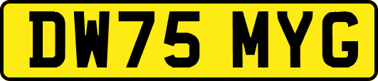 DW75MYG