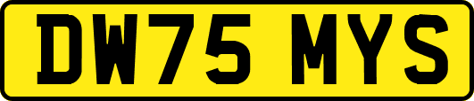 DW75MYS