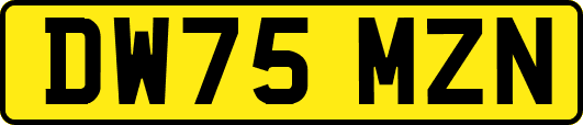 DW75MZN