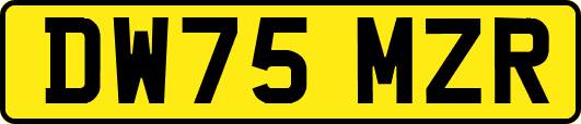 DW75MZR