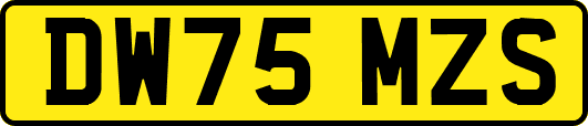 DW75MZS
