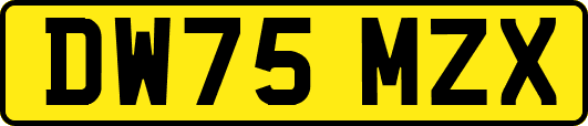 DW75MZX