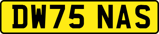 DW75NAS