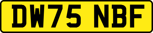DW75NBF