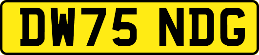 DW75NDG