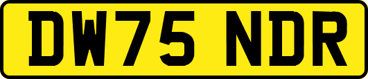 DW75NDR