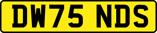 DW75NDS