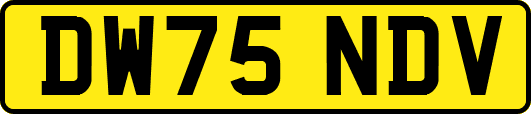 DW75NDV