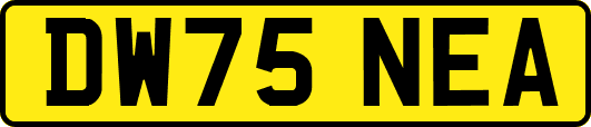 DW75NEA