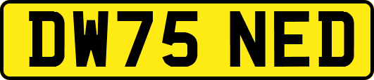 DW75NED