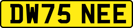 DW75NEE