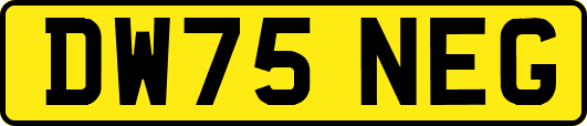 DW75NEG
