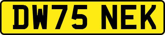 DW75NEK