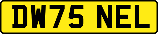 DW75NEL