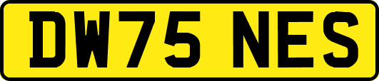 DW75NES