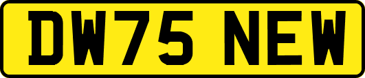 DW75NEW