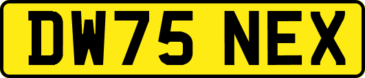 DW75NEX