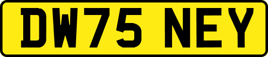 DW75NEY