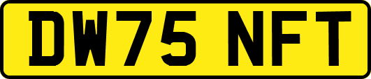 DW75NFT