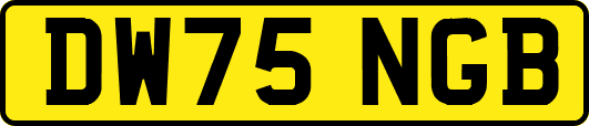 DW75NGB