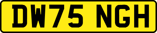DW75NGH