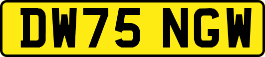 DW75NGW