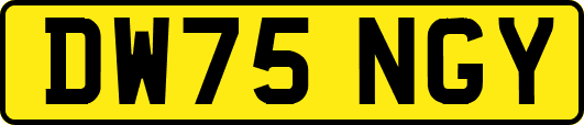 DW75NGY