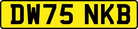 DW75NKB