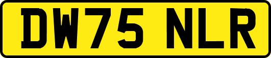 DW75NLR