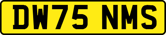 DW75NMS
