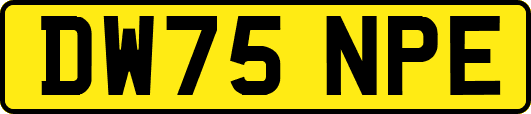 DW75NPE