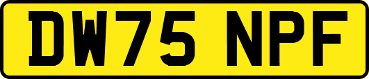 DW75NPF