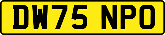 DW75NPO