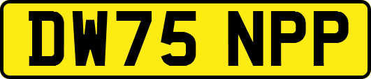 DW75NPP