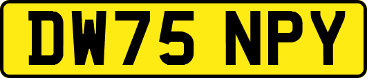 DW75NPY