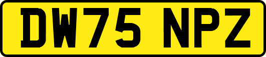 DW75NPZ