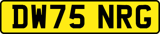 DW75NRG