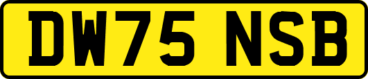 DW75NSB