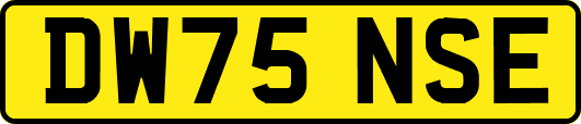 DW75NSE