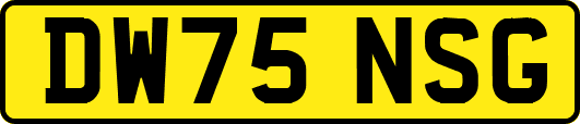 DW75NSG