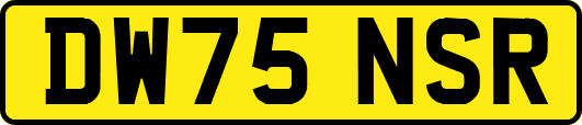 DW75NSR