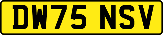 DW75NSV