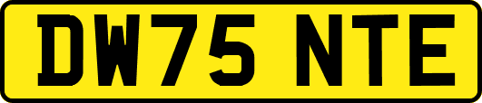 DW75NTE