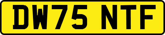 DW75NTF