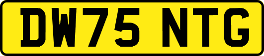DW75NTG
