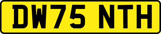 DW75NTH